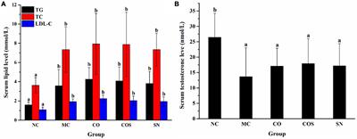 Combining effect of camellia oil and squalene on hyperlipidemia-induced reproductive damage in male rats